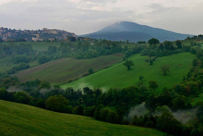 FATTORIE UMBRE - Calvi dell’Umbria