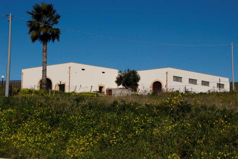 Nino Gandolfo - Weingut, Sizilien
