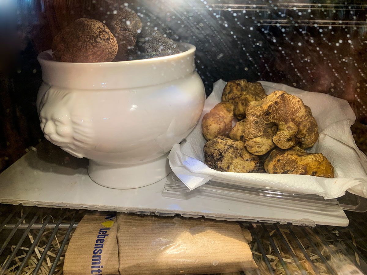 Tuber magnatum Pico - weißer Alba- oder Piemont-Trüffel