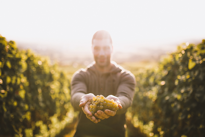 Weingut Adelseck