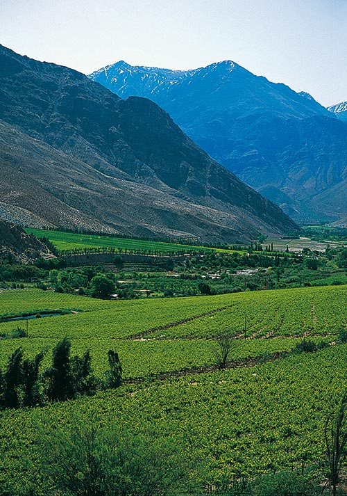Weinanbaugebiet Valle del Elqui