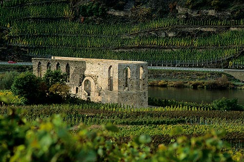 Ruine Kloster Stuben Bremm