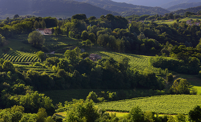 De Stefani - Weingut Colvendrame, Hügel UNESCO-Weltkulturerbe