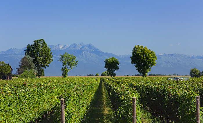 De Stefani - Weingut Pra' Longo