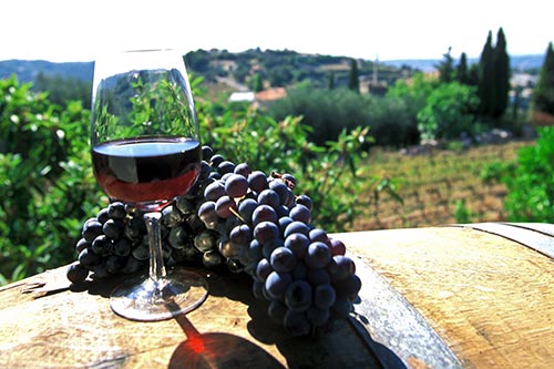 Provence, Nähe Nizza, Weingut Bellet