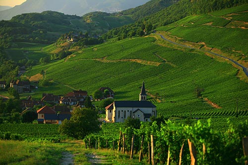 Rhône Tal, Weinberge in Jongieux