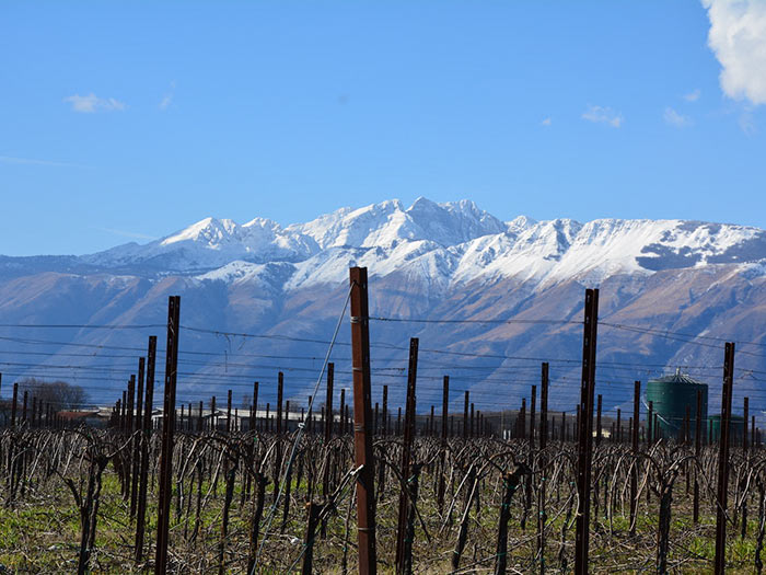 Weingut Ronco Margherita - Friaul